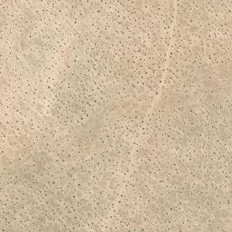 Satellite imagery of survey_point, MX