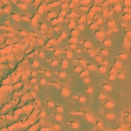Satellite imagery of Dakhlet Abd el Haï, DZ