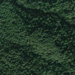 Satellite imagery of cairn, IN