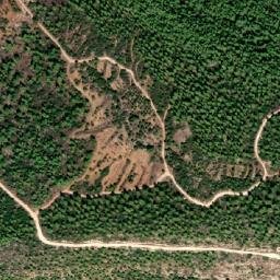 Satellite imagery of Shluẖat Mishlatim, IL