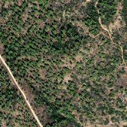 Satellite imagery of Shluẖat Shayyarot, IL