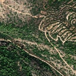 Satellite imagery of Shluẖat Shayyarot, IL