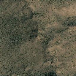 Satellite imagery of survey_point, MX