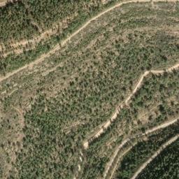 Satellite imagery of Shluẖat Qovi, IL