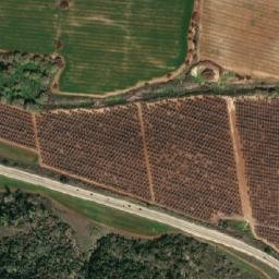 Satellite imagery of תל שוכה, EG