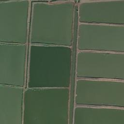 Satellite imagery of Tall al Birkah, EG