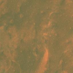 Satellite imagery of Gara el Morr, DZ