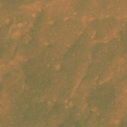 Satellite imagery of Gara el Morr, DZ