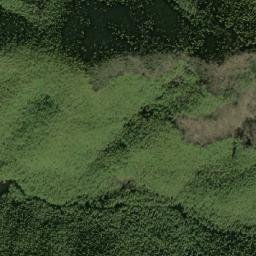 Satellite imagery of Taoshujie, CN