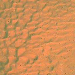 Satellite imagery of Guern el Guettaf, DZ