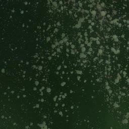 Satellite imagery of Kawm al Khushshah, EG