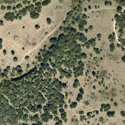 Satellite imagery of Z 1033 — NGS BM0608 — Williamson County, US, US