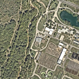 Satellite imagery of D 804 RESET — NGS BM0556 — Austin, US, US