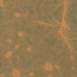 Satellite imagery of Djorf el Morhabar, DZ
