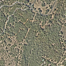 Satellite imagery of AUSTIN CC — NGS DN7662, US