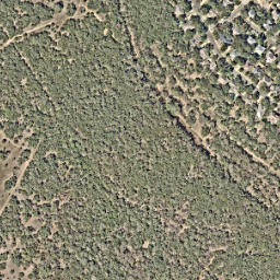 Satellite imagery of AUSTIN CC — NGS DN7662, US