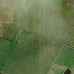 Satellite imagery of F 1225 — NGS BM0664 — Bastrop County, US, US