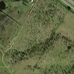 Satellite imagery of F 1225 — NGS BM0664 — Bastrop County, US, US