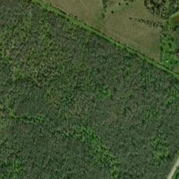 Satellite imagery of CANE — NGS BM0903 — Bastrop County, US, US