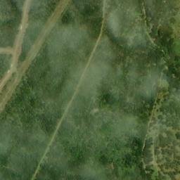 Satellite imagery of G 1225 — NGS BM0663 — Bastrop County, US, US