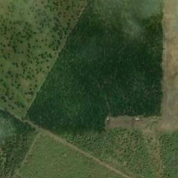 Satellite imagery of TEXAS HILL — NGS BM0904 — Bastrop County, US, US