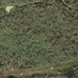 Satellite imagery of P 1499 — NGS AW5446 — Houston, US, US