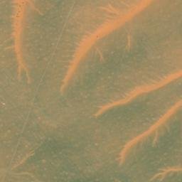 Satellite imagery of Al Jadhwā, SA