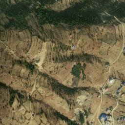 Satellite imagery of Survey Office, IN