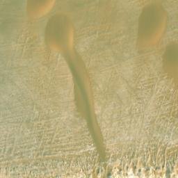 Satellite imagery of Al Khurmah al Wasţānīyah, EG