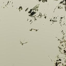 Satellite imagery of Lumbuk Ḍā̃ḍā, NP