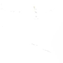 Satellite imagery of Puthā Himāl, NP