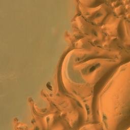 Satellite imagery of Menkeb Souf, DZ