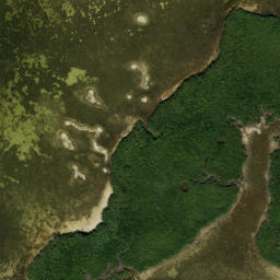 Satellite imagery of Big Bayou Point, US
