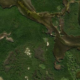 Satellite imagery of Big Bayou Point, US