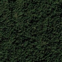 Satellite imagery of Chhintu, NP