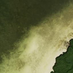 Satellite imagery of Ben Pilot Point, US