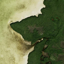 Satellite imagery of Ben Pilot Point, US