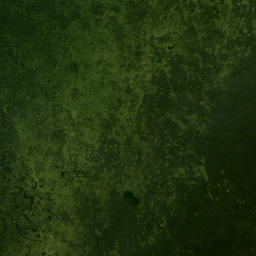 Satellite imagery of The Cabbage, US