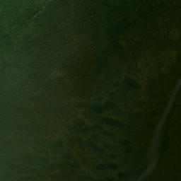 Satellite imagery of North River Point, US