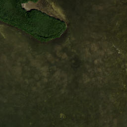 Satellite imagery of Piney Point, US