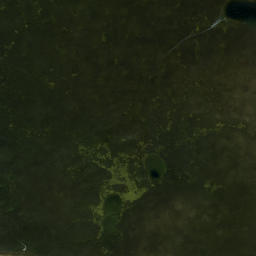 Satellite imagery of Piney Point, US