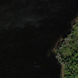 Satellite imagery of Pasture Fence Point, US
