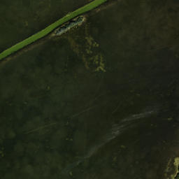 Satellite imagery of Danenman Point, US