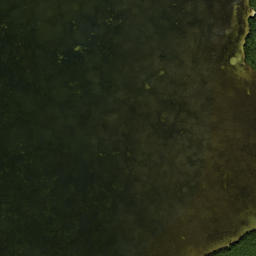 Satellite imagery of Danenman Point, US