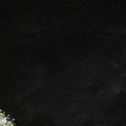 Satellite imagery of Lons Point, US