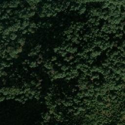 Satellite imagery of Chisāpāni̇̄ Devi̇̄sthān Ḍā̃ḍā, NP