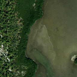 Satellite imagery of Pelican Point, US