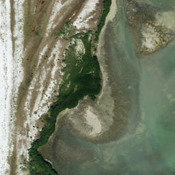 Satellite imagery of Lone Oak Point, US