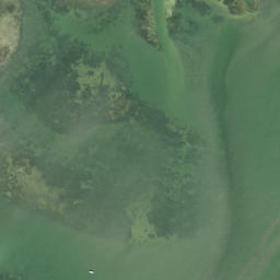 Satellite imagery of Lone Oak Point, US