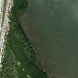 Satellite imagery of Lone Oak Point, US